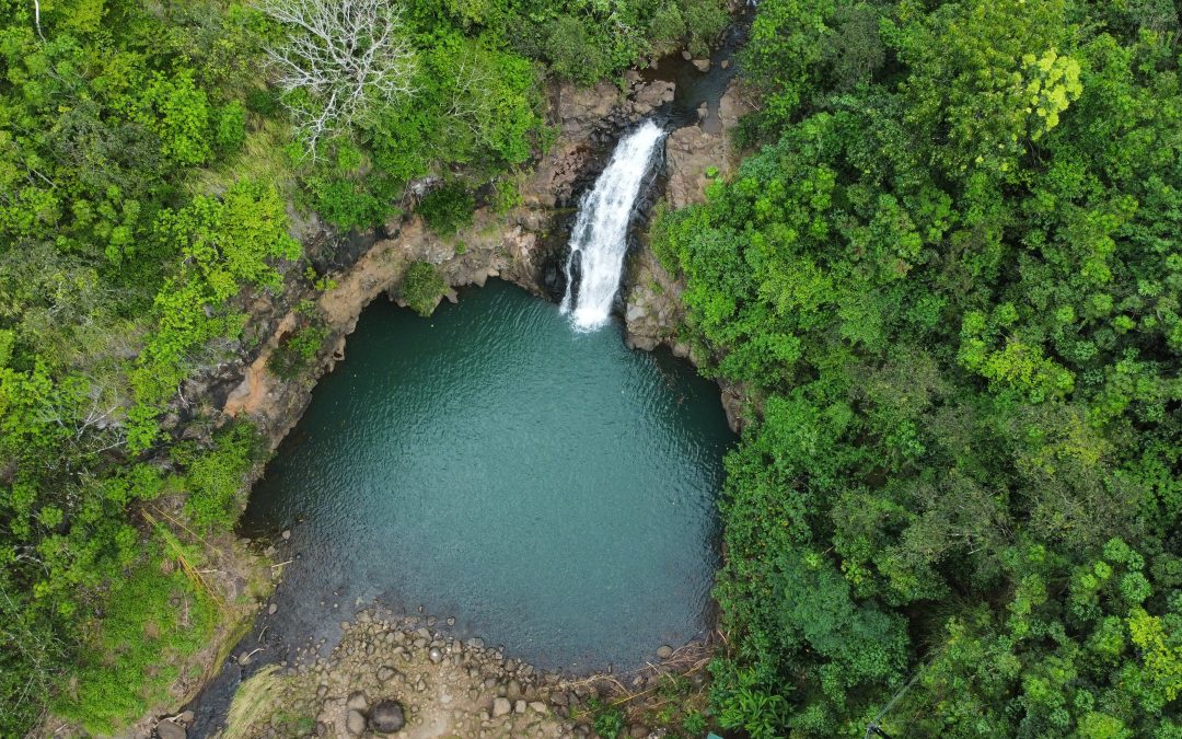 Waimea Valley